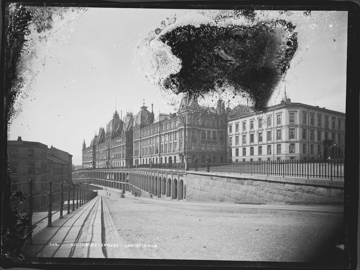 A black-and-white street view of tall buildings with a dark mold bloom across the sky